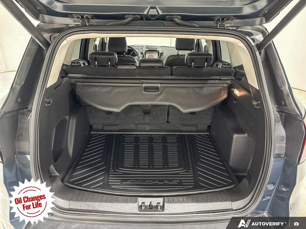 2019 Ford Escape SEL 4WD Photo