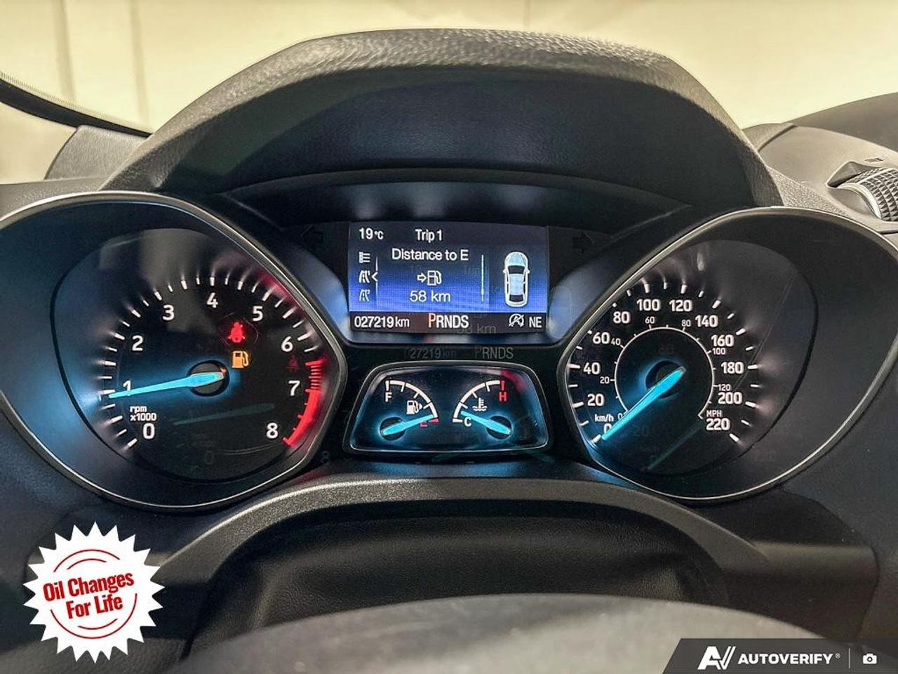 2019 Ford Escape SEL 4WD Photo