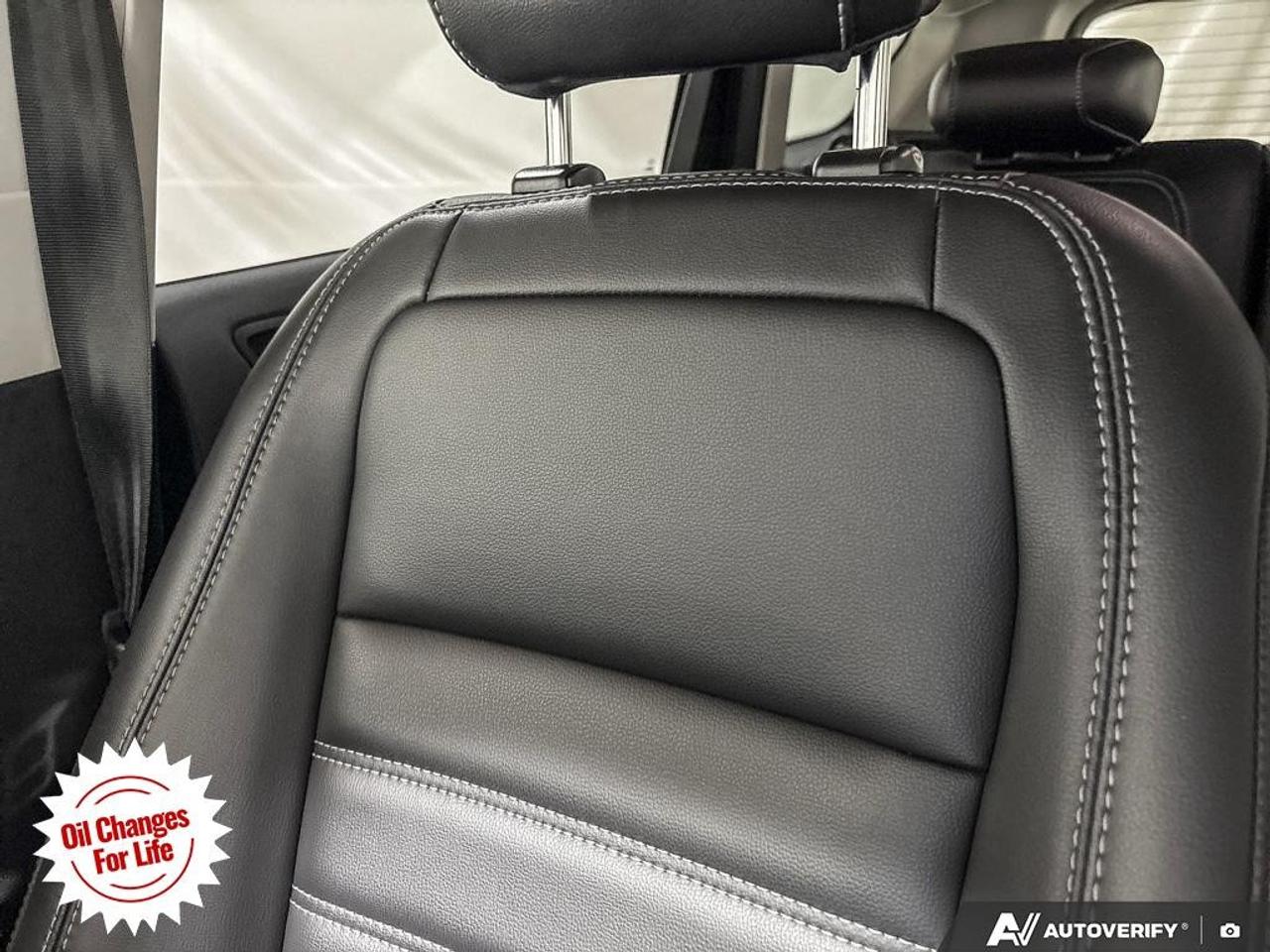 2019 Ford Escape SEL 4WD Photo