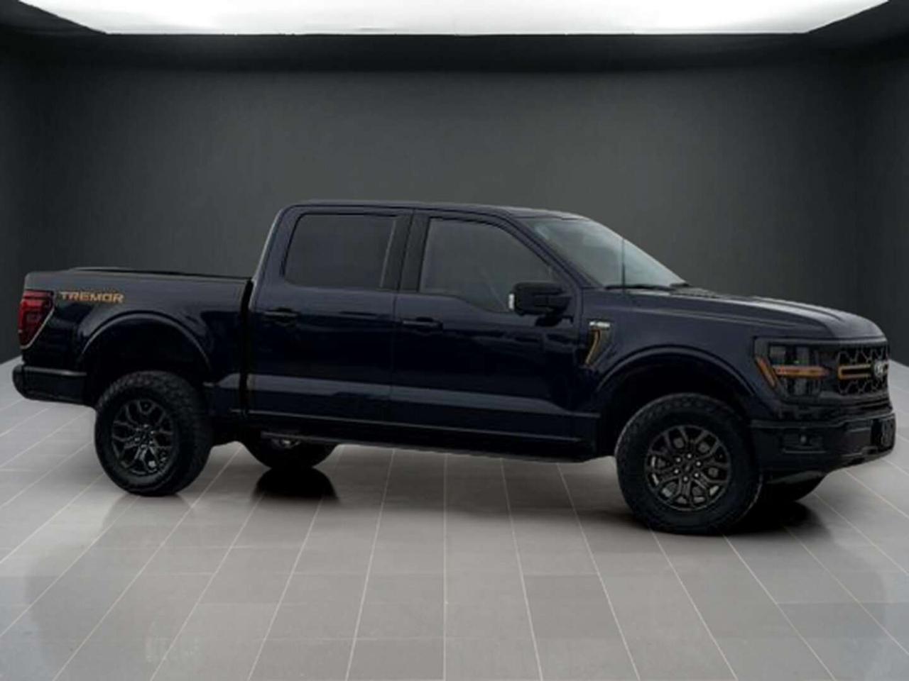2024 Ford F-150 F150 Tremor   TWIN-TURBO   400HP   UPGRADED TIRES   GOLD STITCHING   OFFROAD   CPO ELIGIBLE Photo