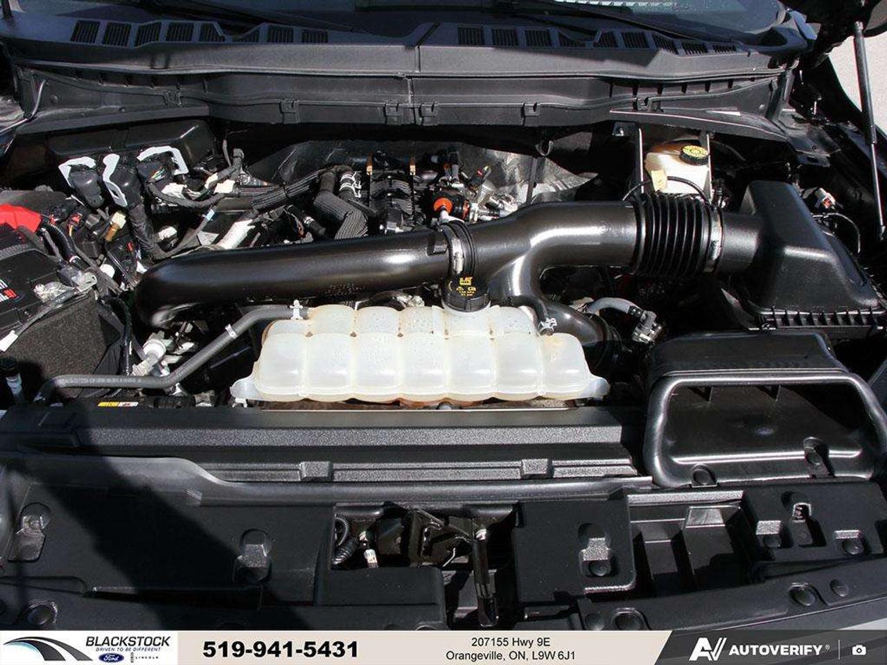 2024 Ford F-150 F150 Tremor   TWIN-TURBO   400HP   UPGRADED TIRES   GOLD STITCHING   OFFROAD   CPO ELIGIBLE Photo