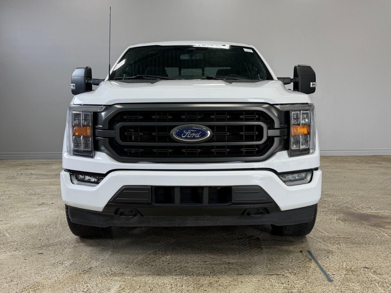 2022 Ford F-150  Photo