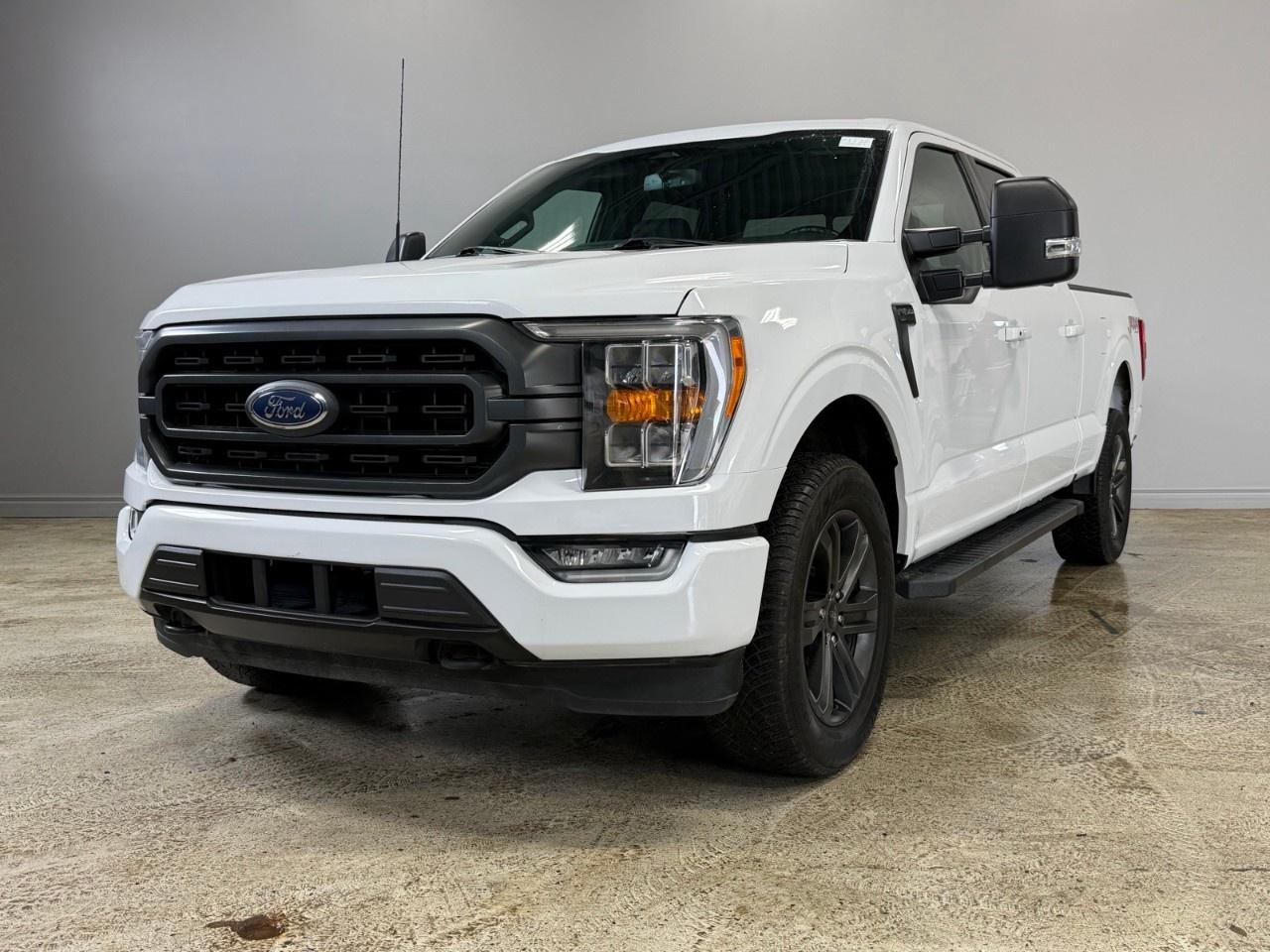 2022 Ford F-150  Photo