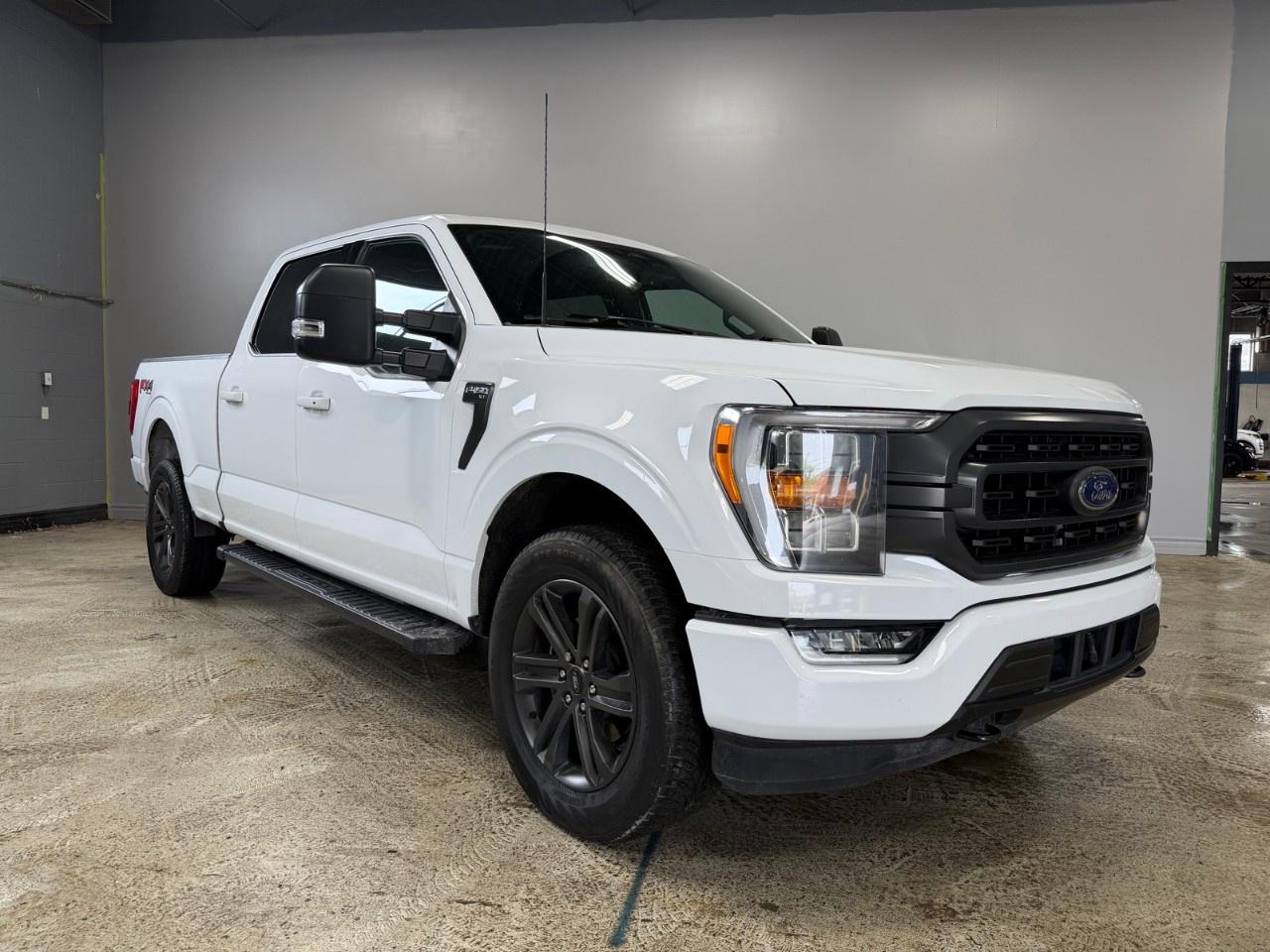2022 Ford F-150  Photo