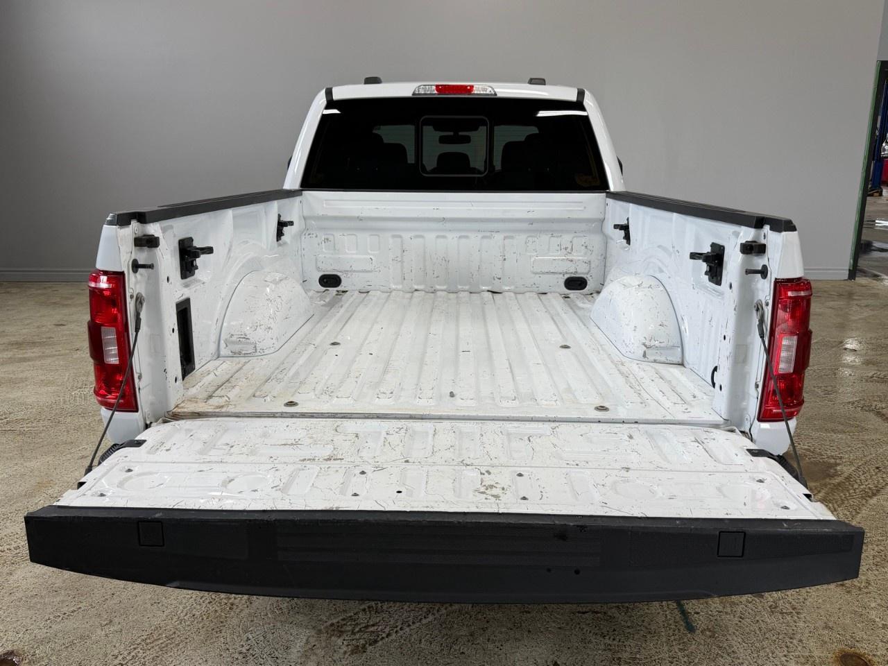 2022 Ford F-150  Photo