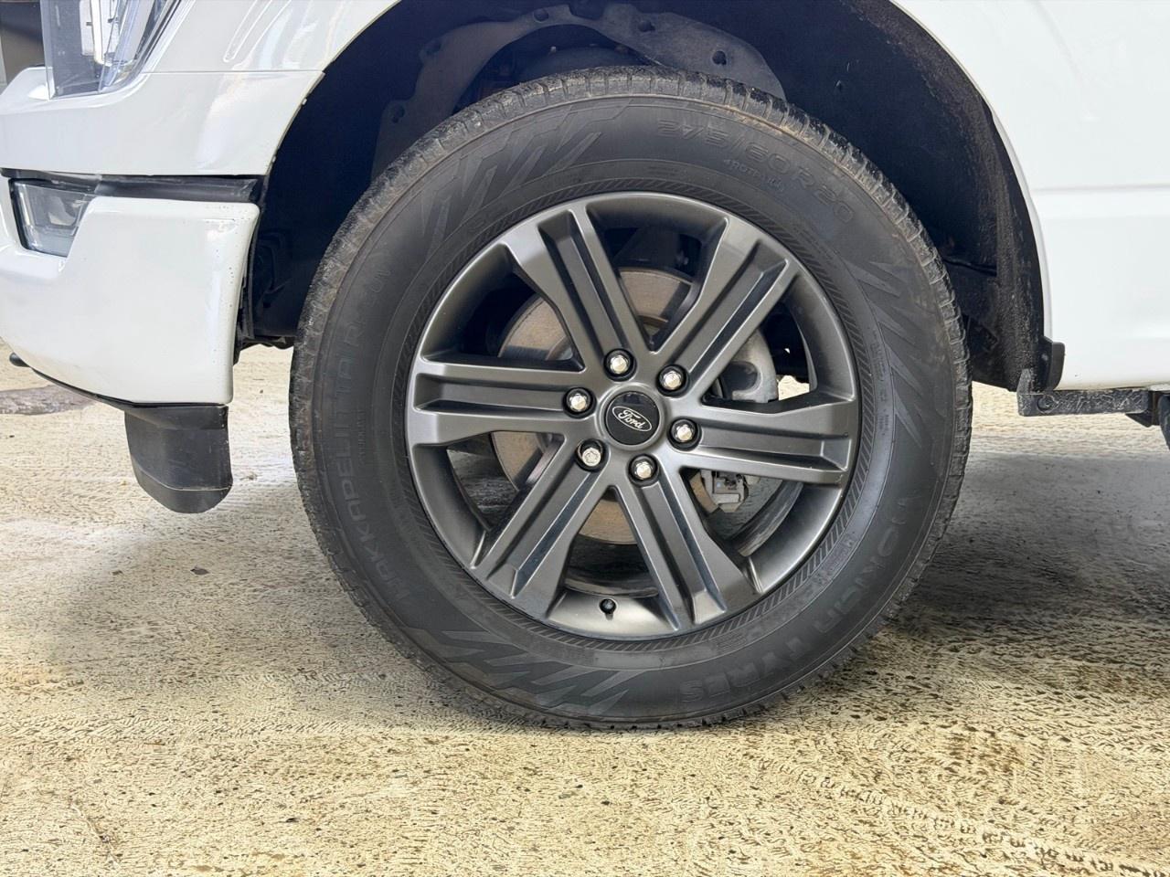 2022 Ford F-150  Photo
