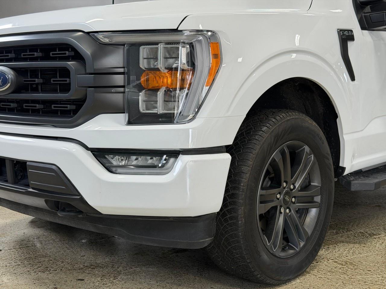 2022 Ford F-150  Photo