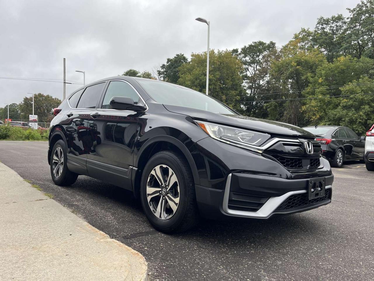 2022 Honda CR-V LX Photo