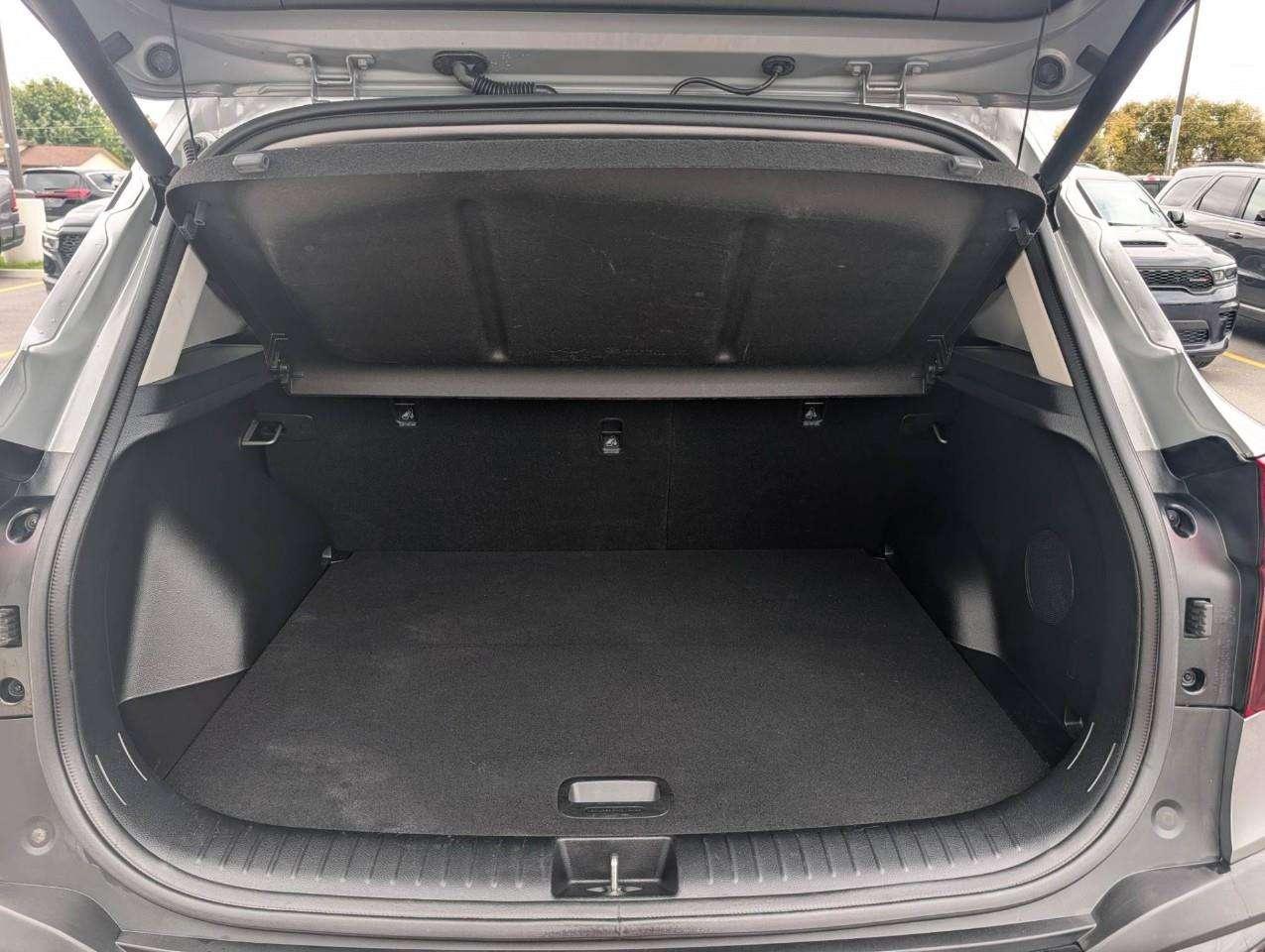 2024 Kia Seltos SX w/Black Interior NO ACCIDENTS Photo