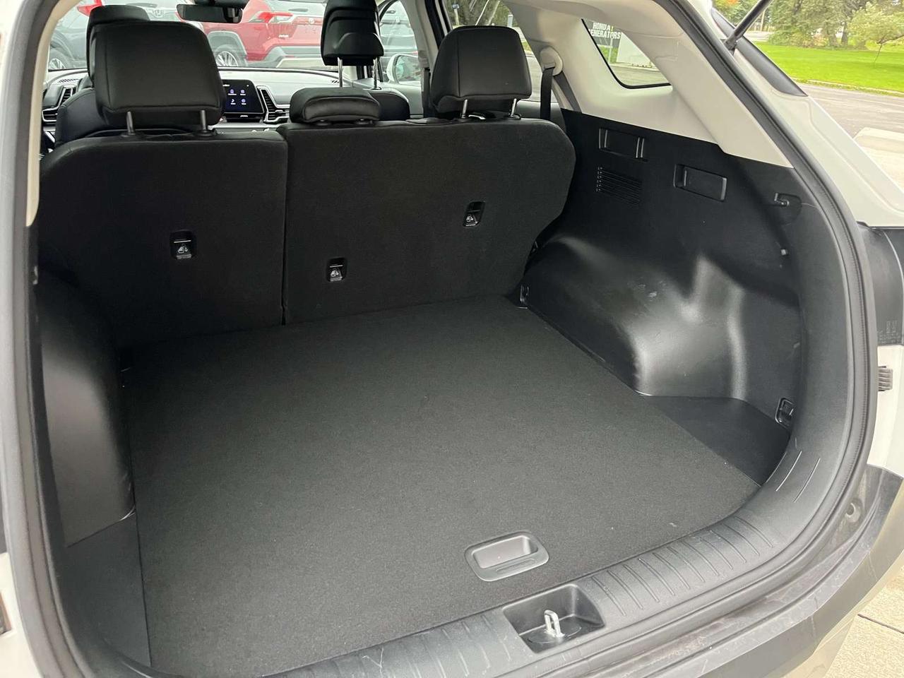 2023 Kia Sportage EX Photo