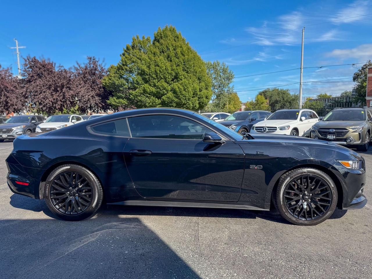 2017 Ford Mustang GT/6 SPEED MANUAL/CAMERA/NO ACCIDENTS/LOW KM/5.0 L Photo