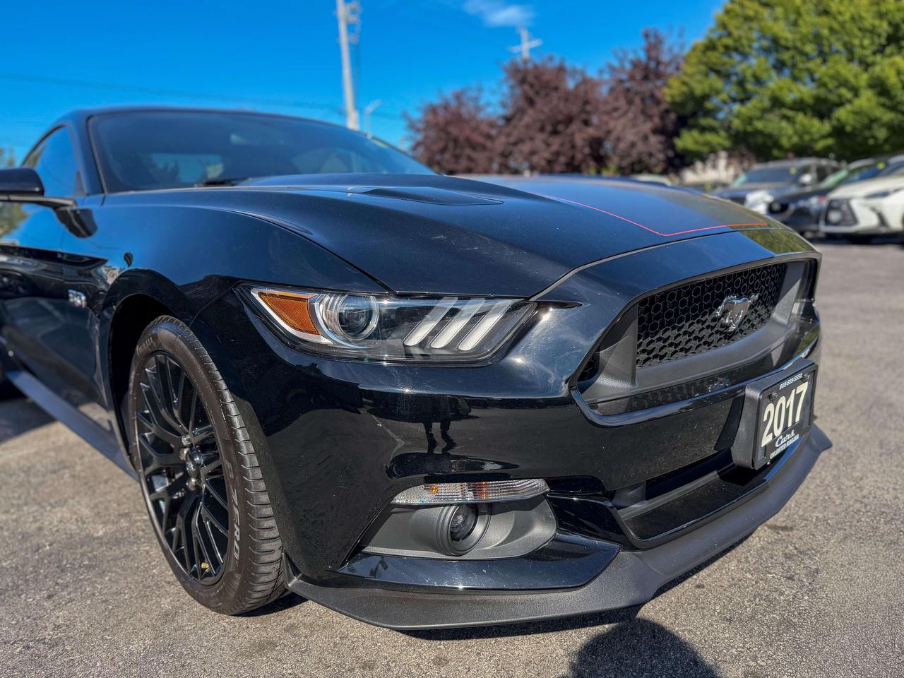 2017 Ford Mustang GT/6 SPEED MANUAL/CAMERA/NO ACCIDENTS/LOW KM/5.0 L Photo