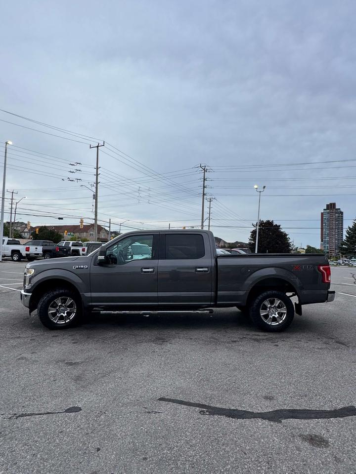 2017 Ford F-150 4WD SuperCrew 157 XLT 6.5' Box Photo