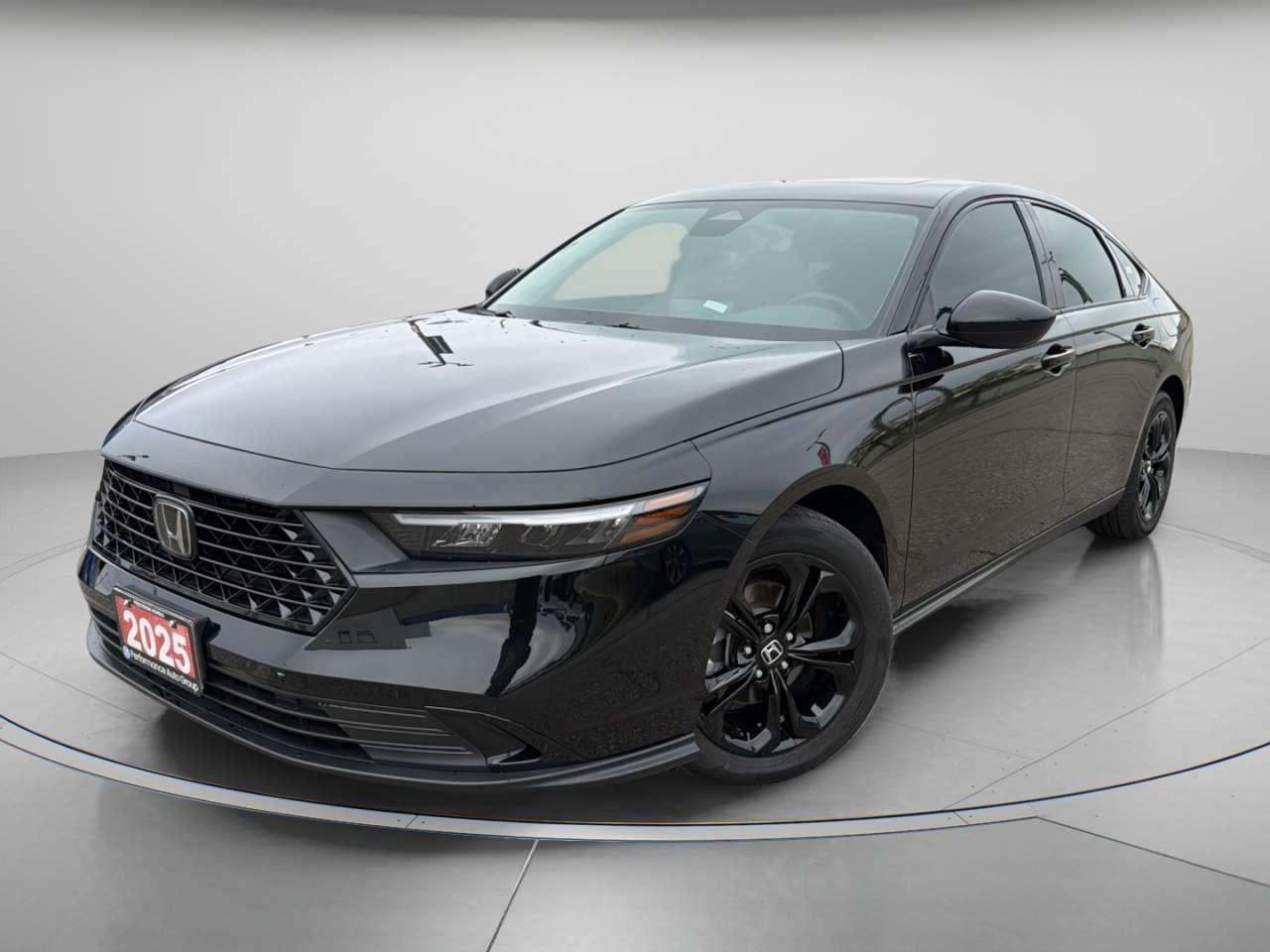 2025 Honda Accord SE Photo
