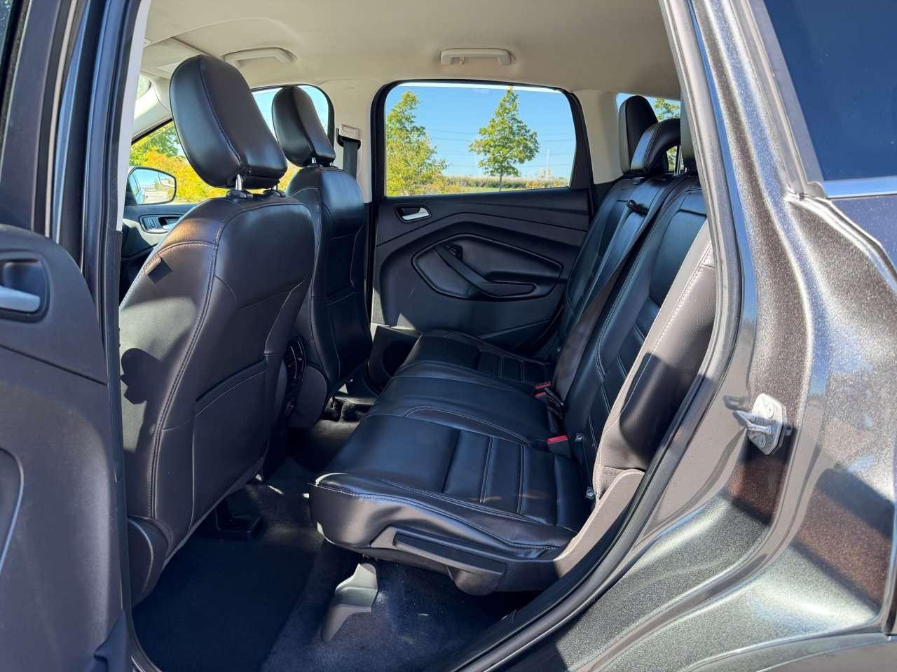 2019 Ford Escape SEL Photo