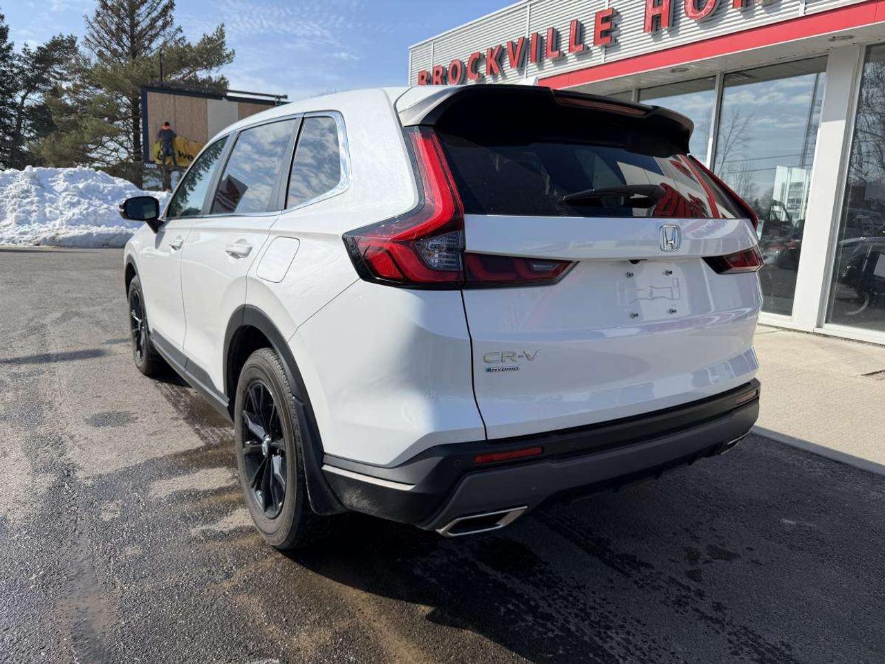 2024 Honda CR-V EX-L AWD Photo3