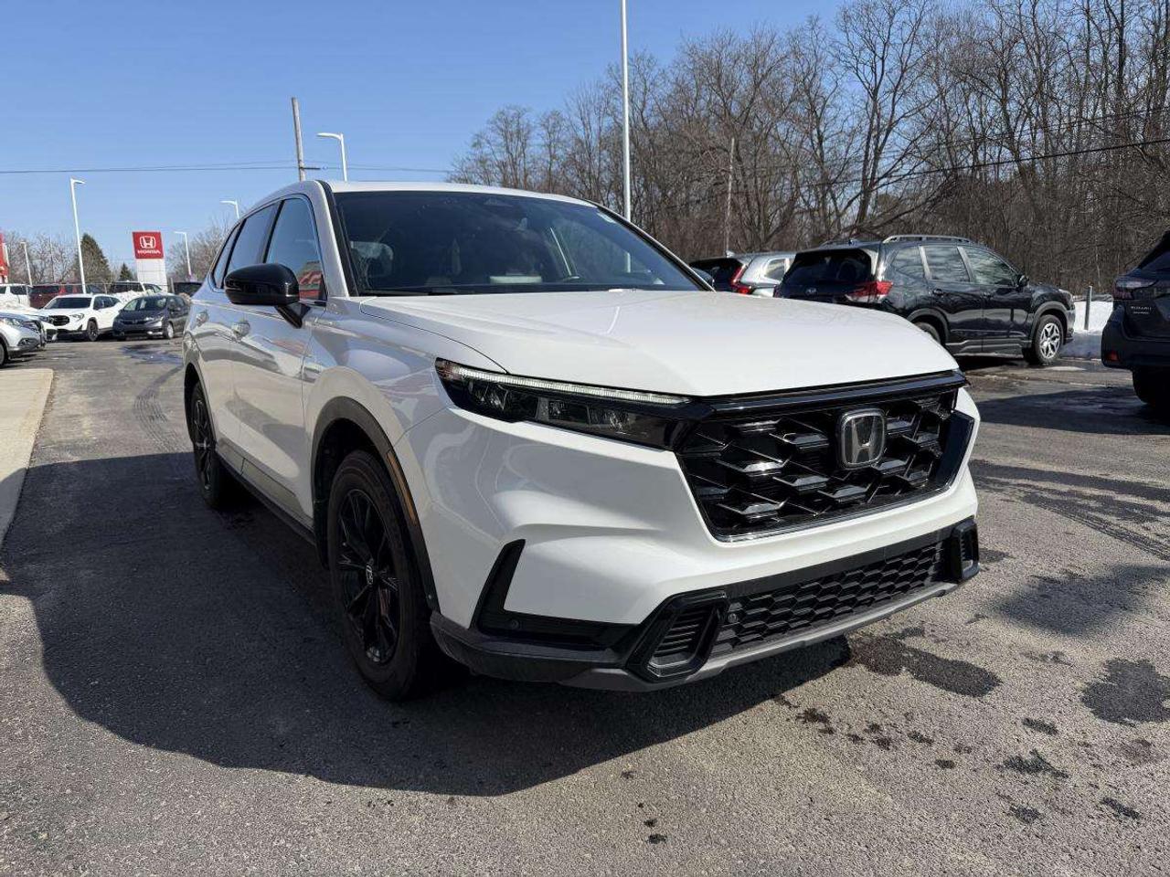 2024 Honda CR-V EX-L AWD Photo1