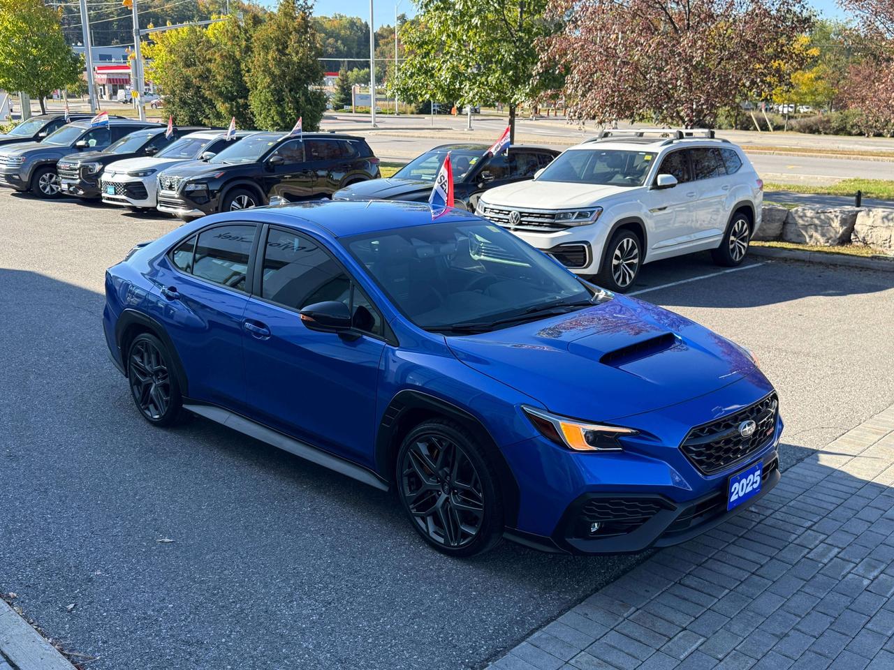 2025 Subaru WRX tS Photo
