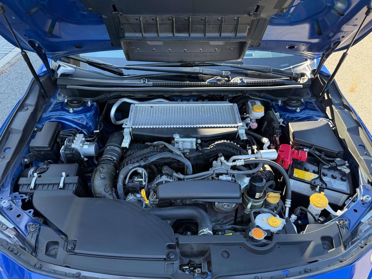 2025 Subaru WRX tS Photo