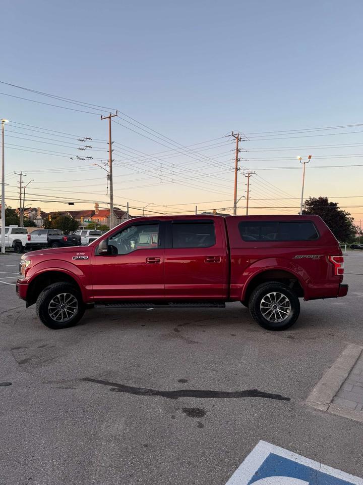 2019 Ford F-150 XLT 4WD SuperCrew 5.5' Box Photo