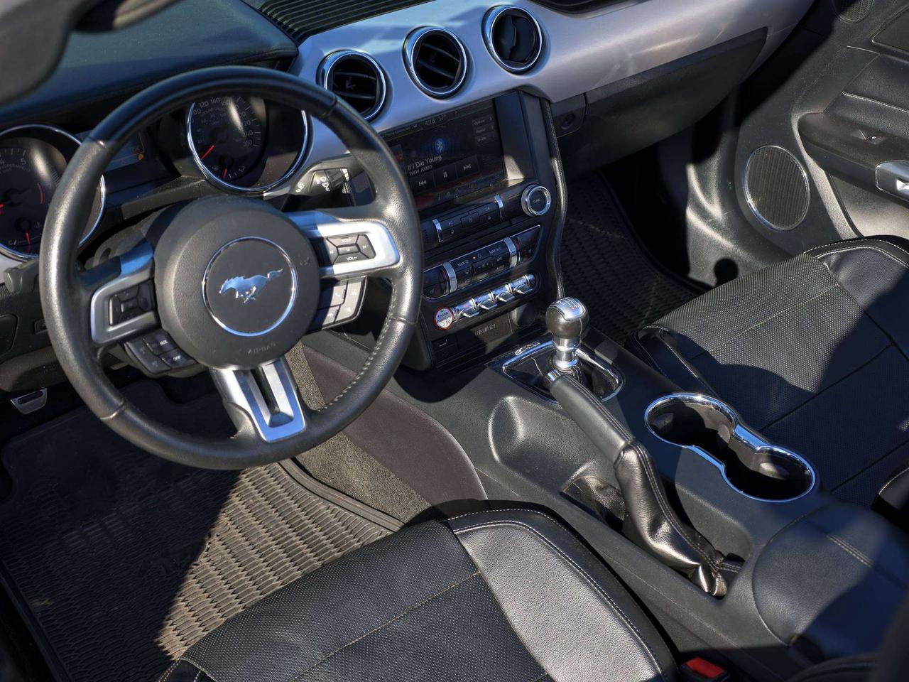 2015 Ford Mustang GT Premium Photo