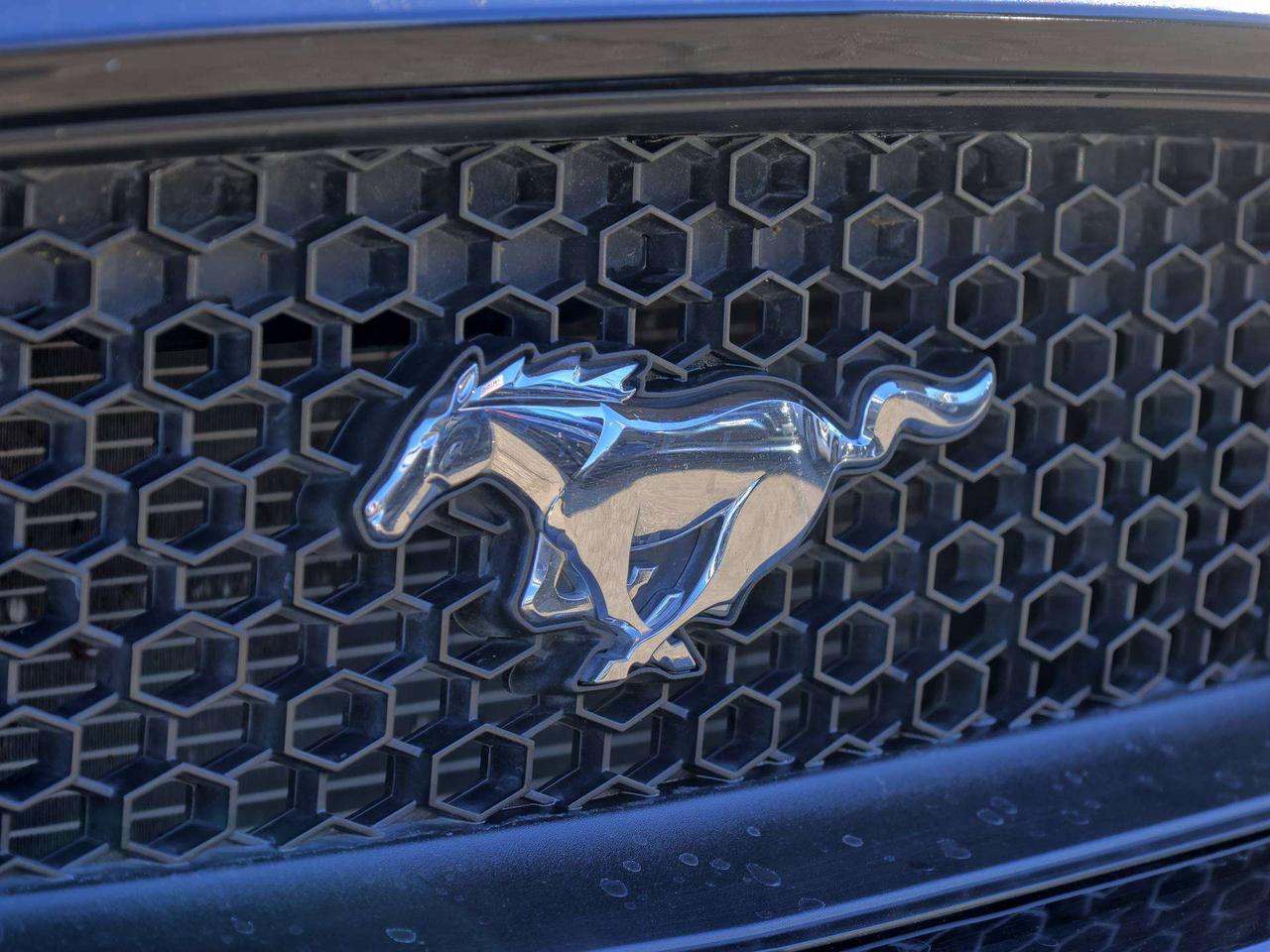 2015 Ford Mustang GT Premium Photo