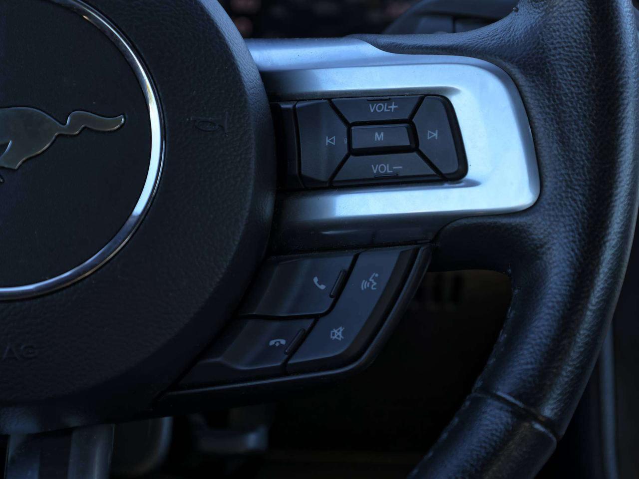 2015 Ford Mustang GT Premium Photo
