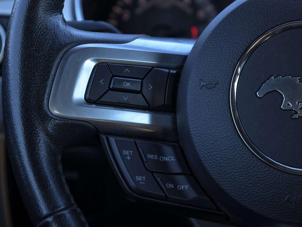 2015 Ford Mustang GT Premium Photo