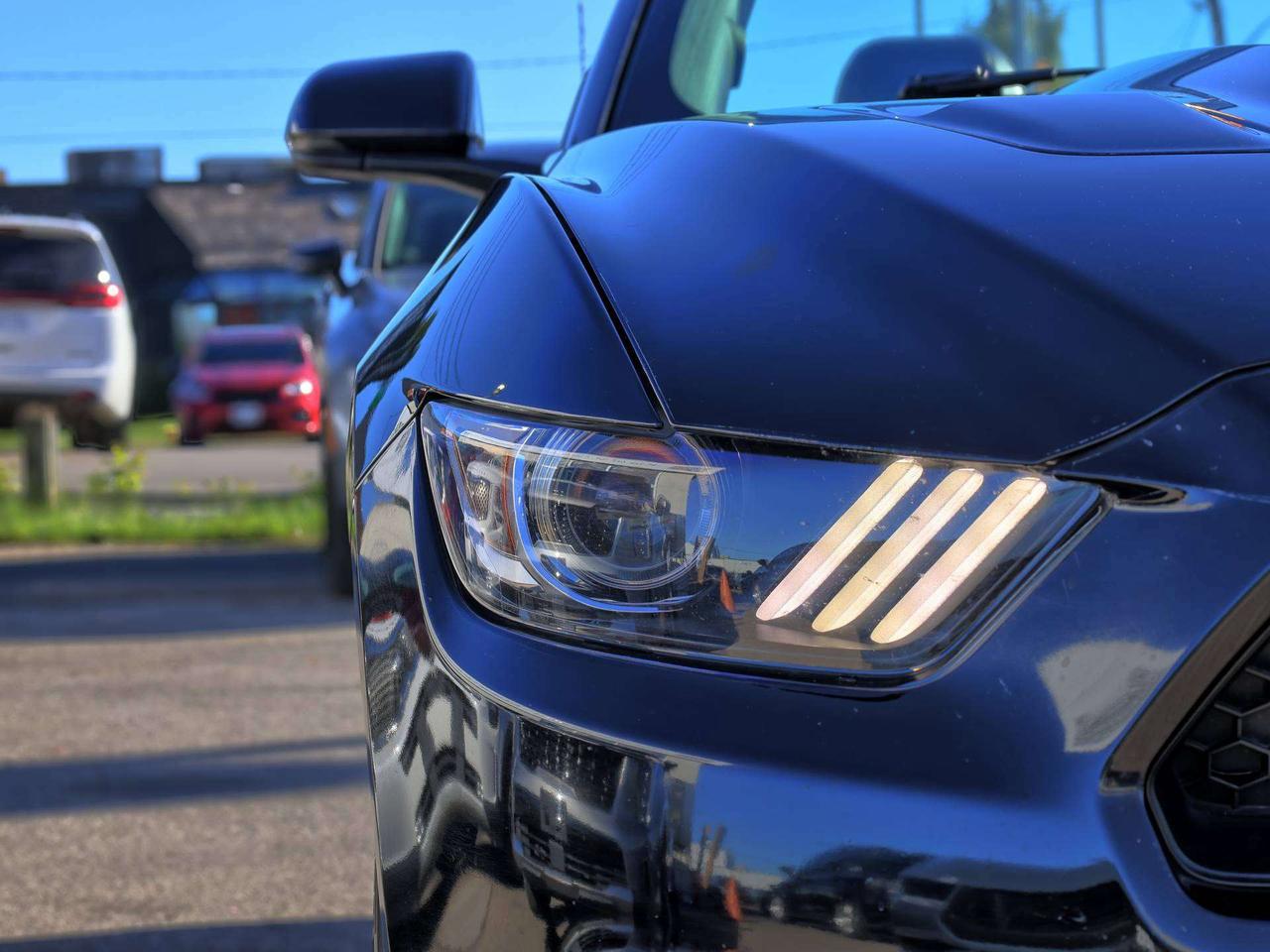 2015 Ford Mustang GT Premium Photo