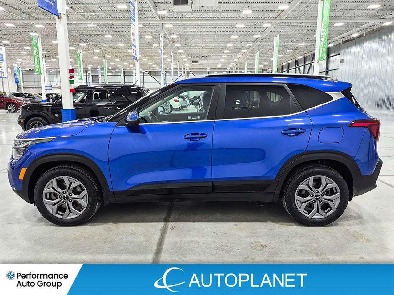 2024 Kia Seltos EX, Sunroof, Ventilated Seats, Back Up Cam! Photo