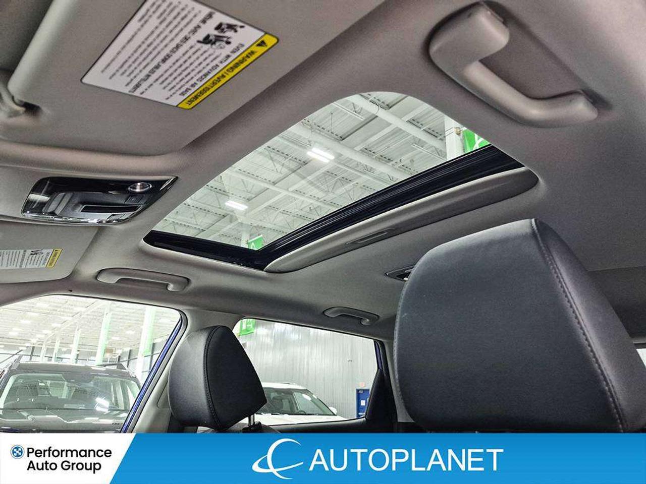2024 Kia Seltos EX, Sunroof, Ventilated Seats, Back Up Cam! Photo