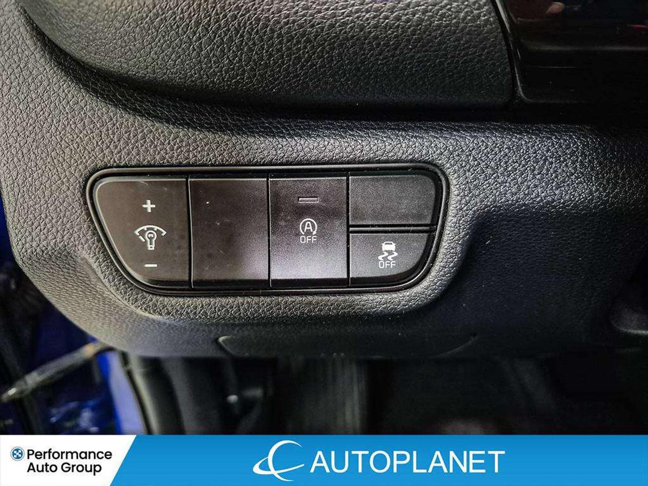 2024 Kia Seltos EX, Sunroof, Ventilated Seats, Back Up Cam! Photo
