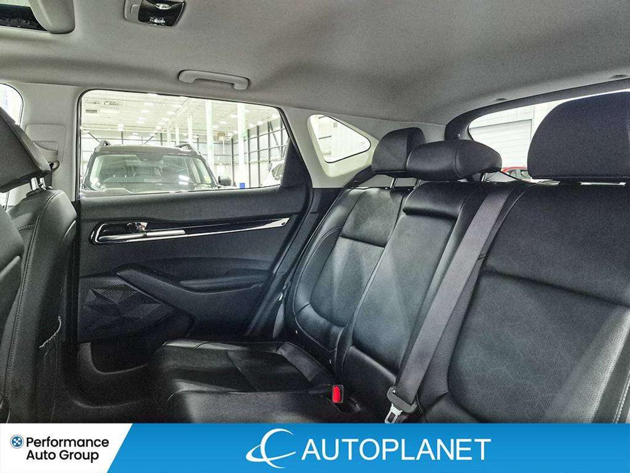 2024 Kia Seltos EX, Sunroof, Ventilated Seats, Back Up Cam! Photo