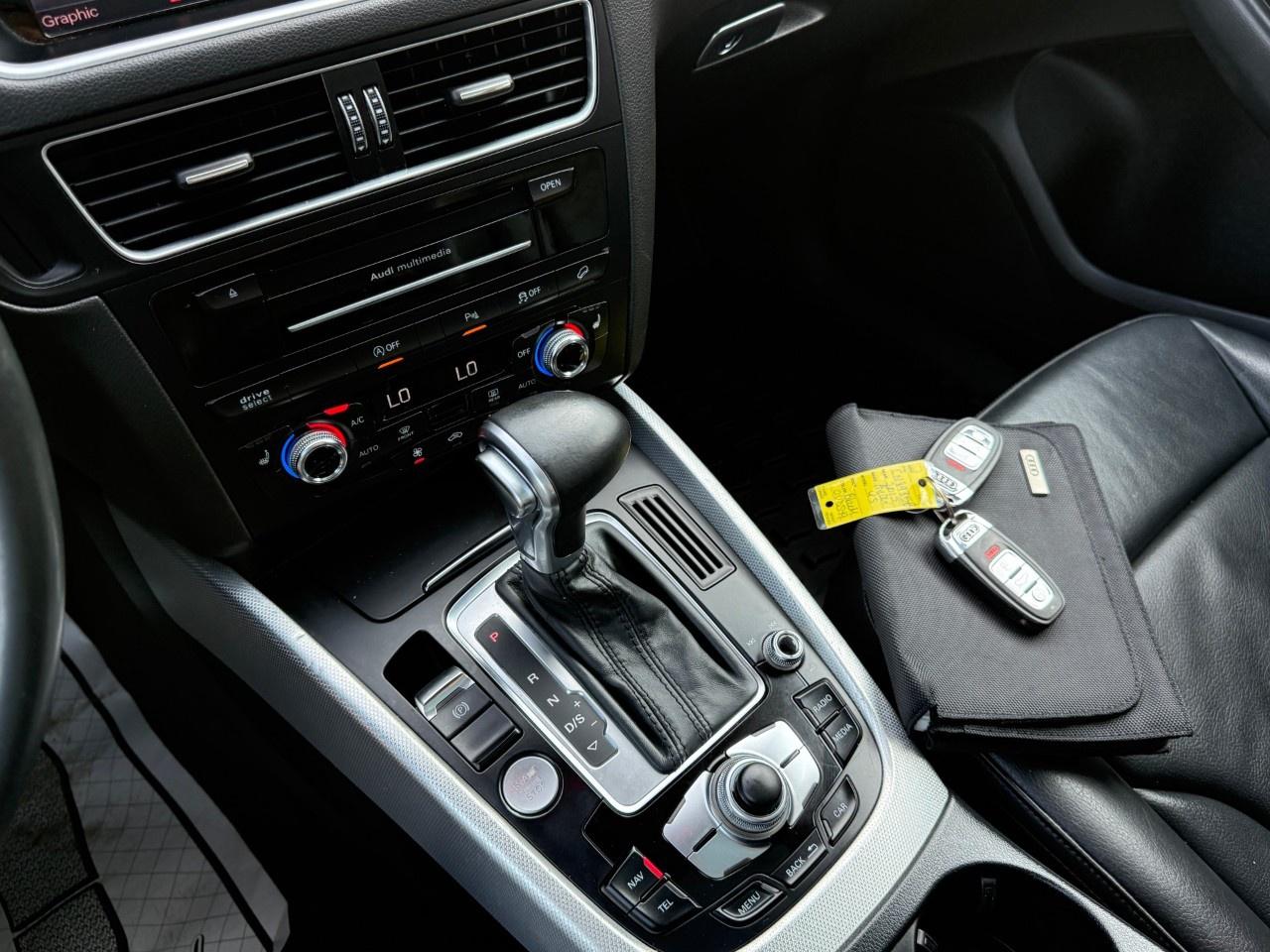 2015 Audi SQ5 quattro 4dr 3.0T Premium Plus Photo