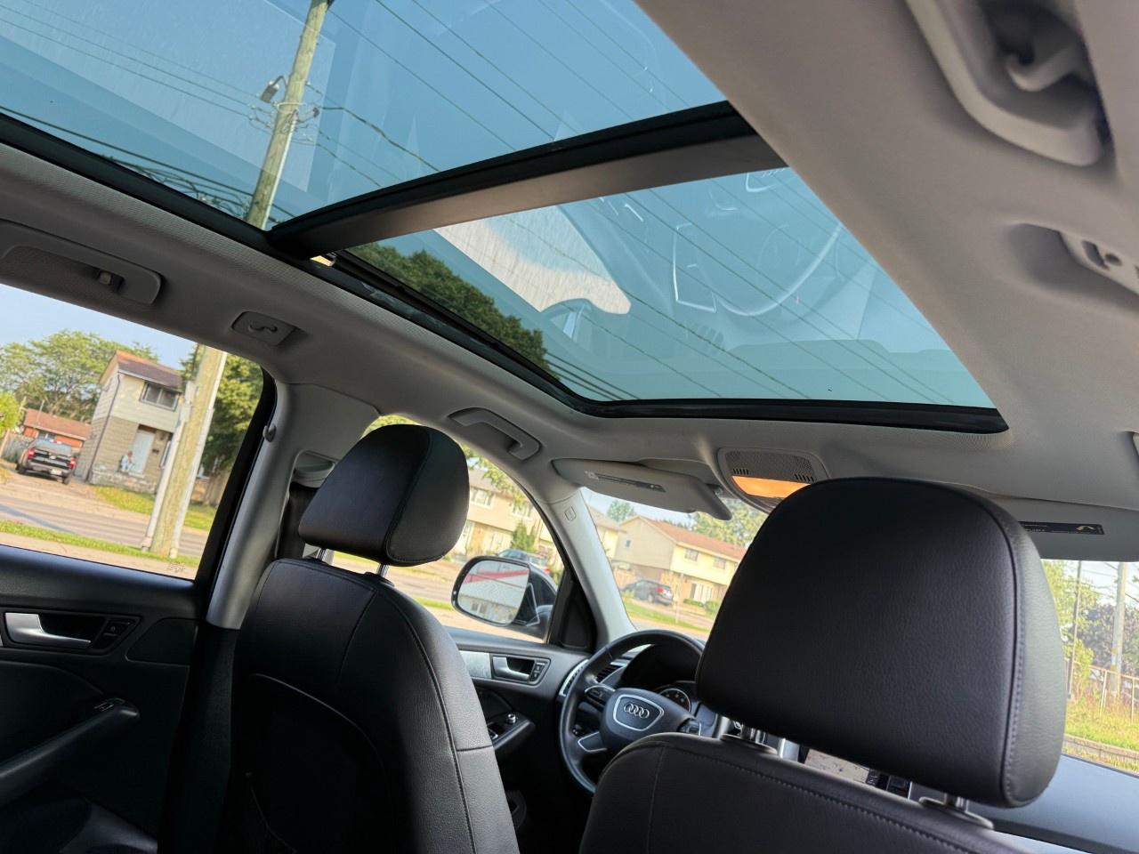 2015 Audi SQ5 quattro 4dr 3.0T Premium Plus Photo