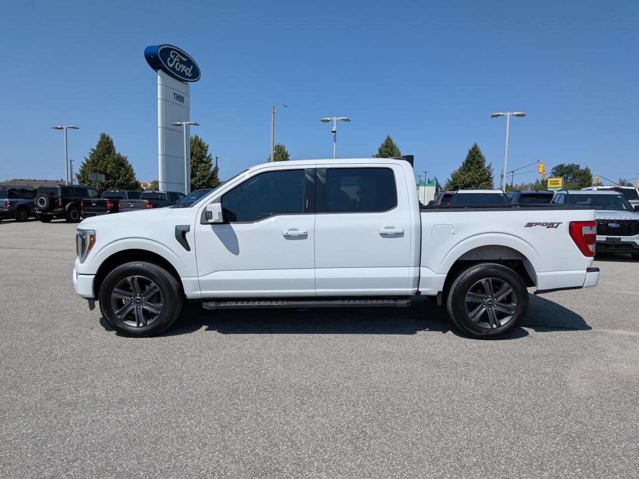 2023 Ford F-150  Photo