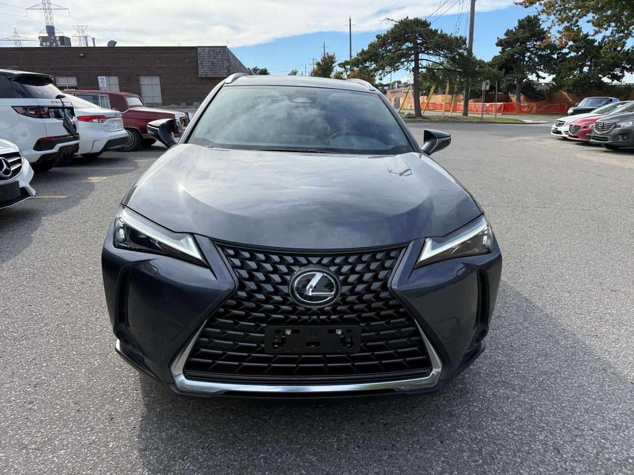 2025 Lexus UX UX 300h CVT Photo5