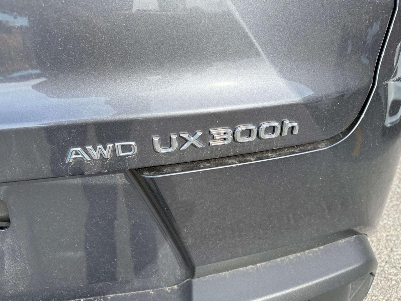 2025 Lexus UX UX 300h CVT Photo