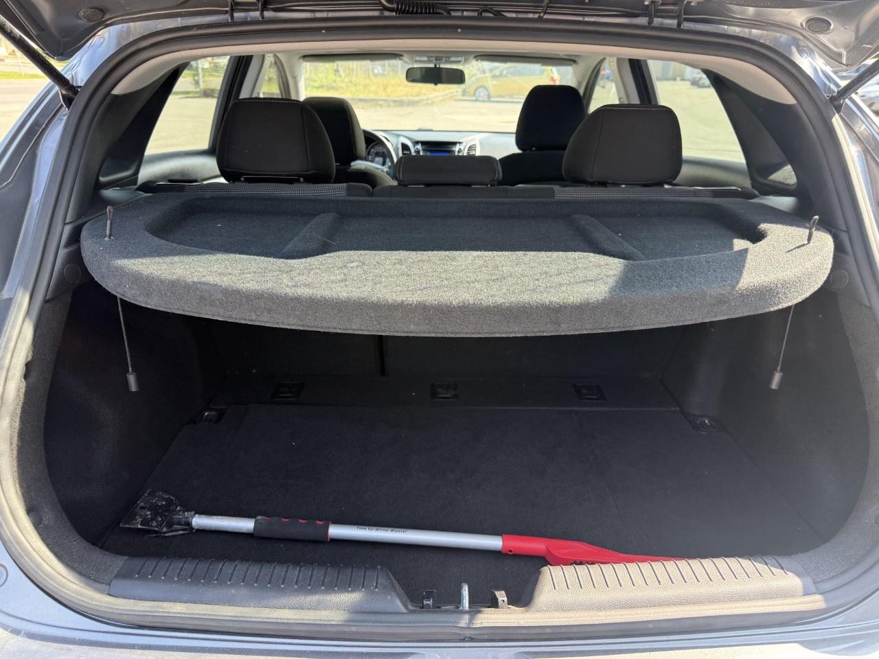 2016 Hyundai Elantra GT 5dr HB Man GLS Photo