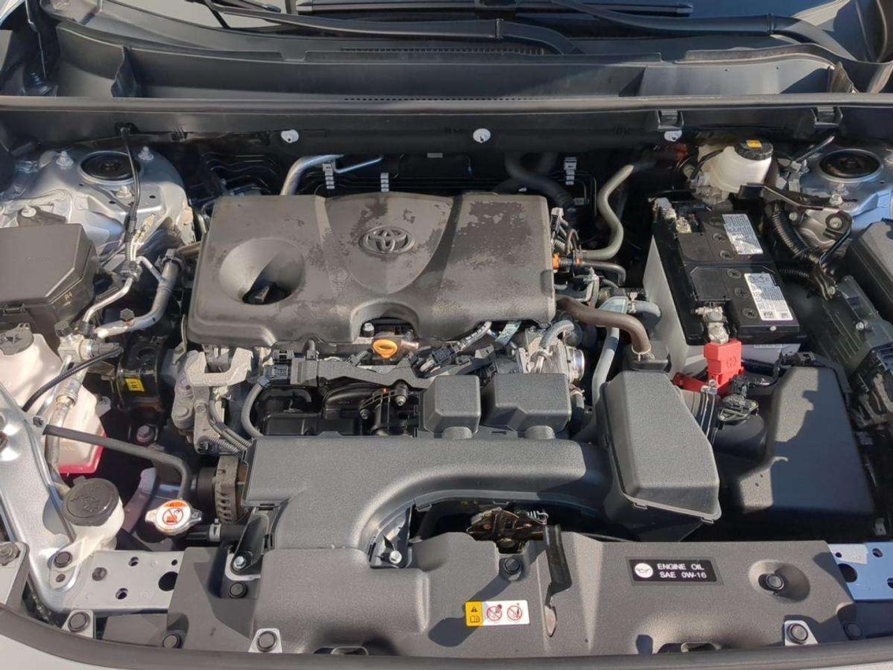 2025 Toyota RAV4 LE Photo