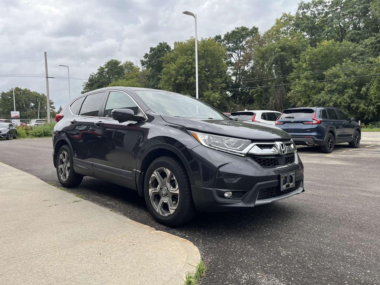 2019 Honda CR-V EX-L AWD Photo