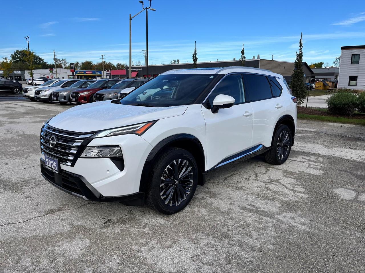 2025 Nissan Rogue Platinum 4dr All-Wheel Drive Sport Utility Photo