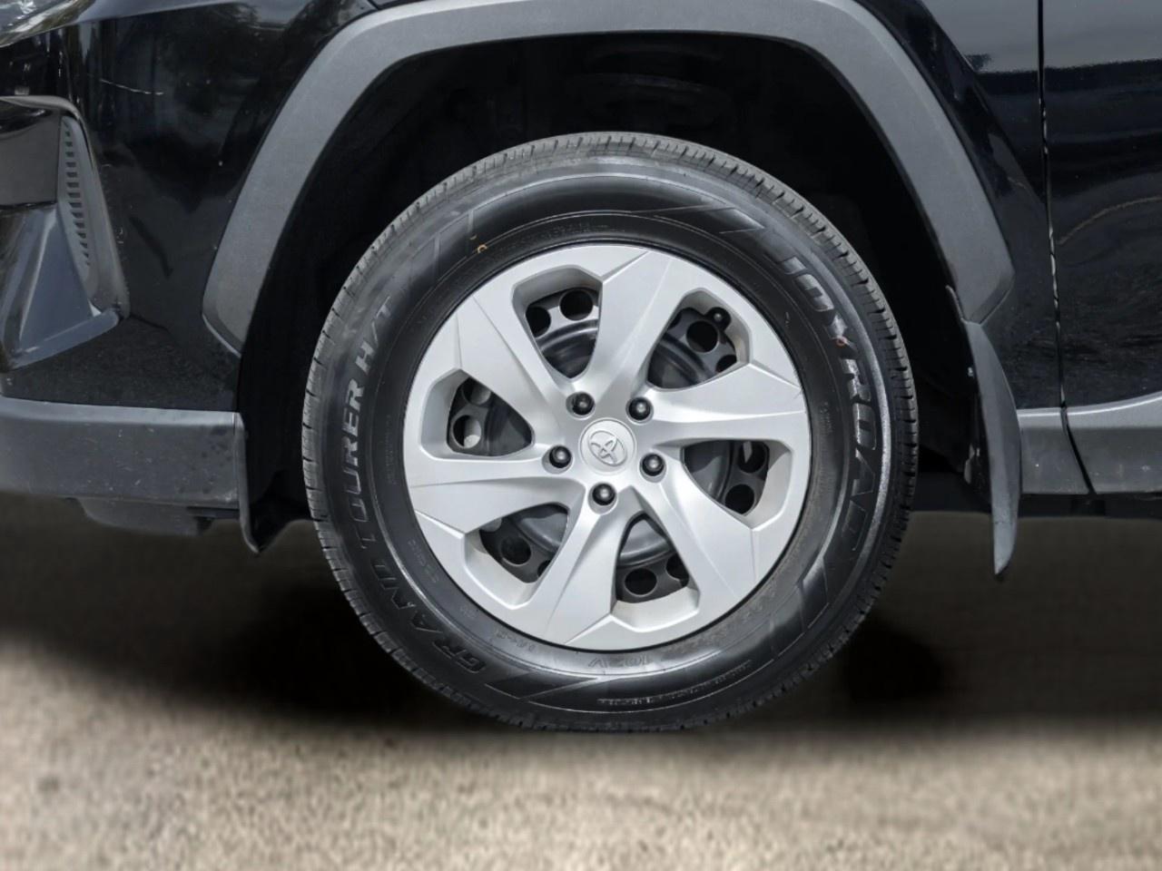 2025 Toyota RAV4 LE AWD Photo
