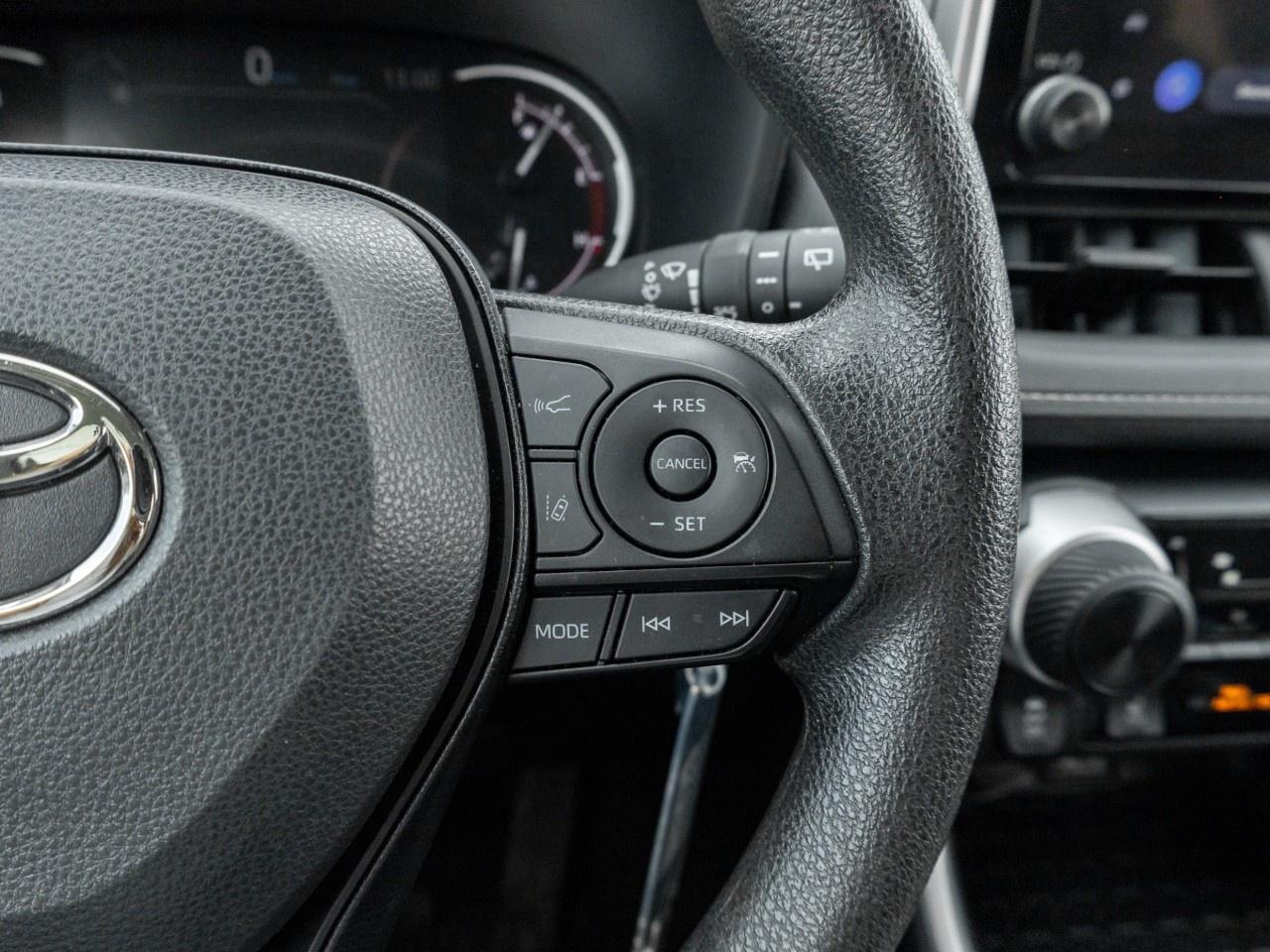 2025 Toyota RAV4 LE AWD Photo