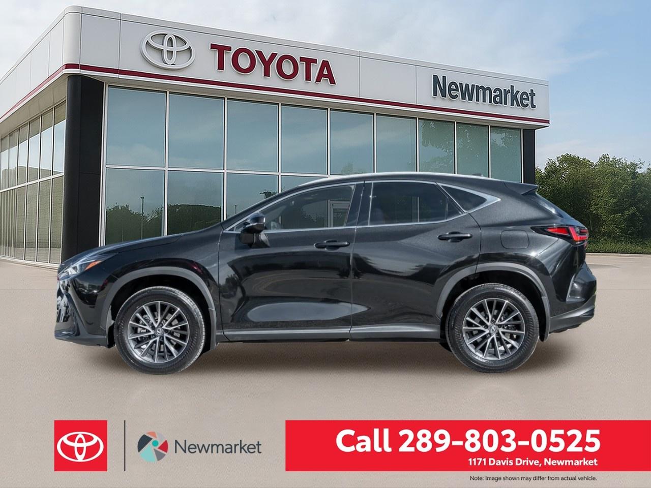 2024 Lexus NX NX 350 AWD Photo2
