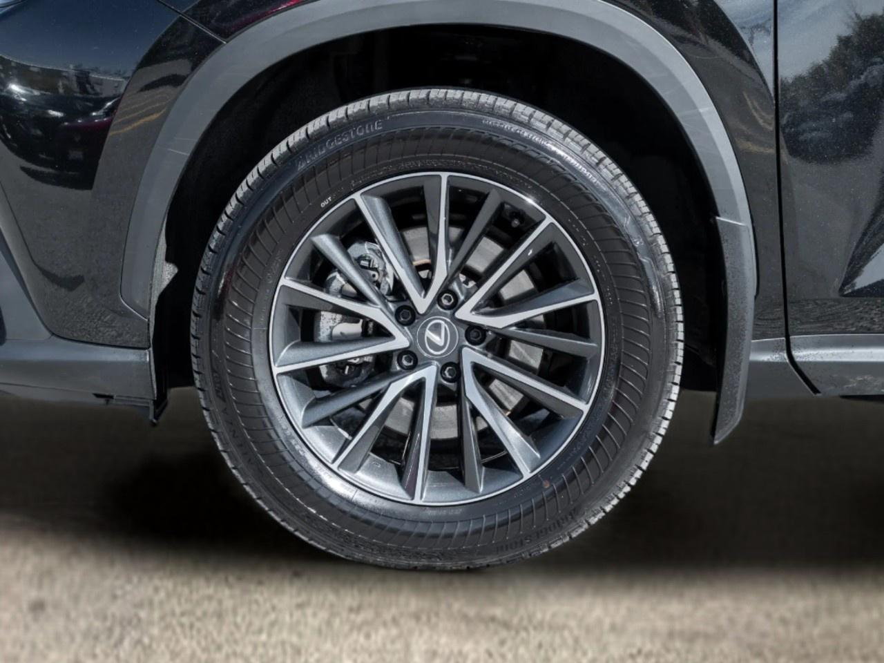 2024 Lexus NX NX 350 AWD Photo
