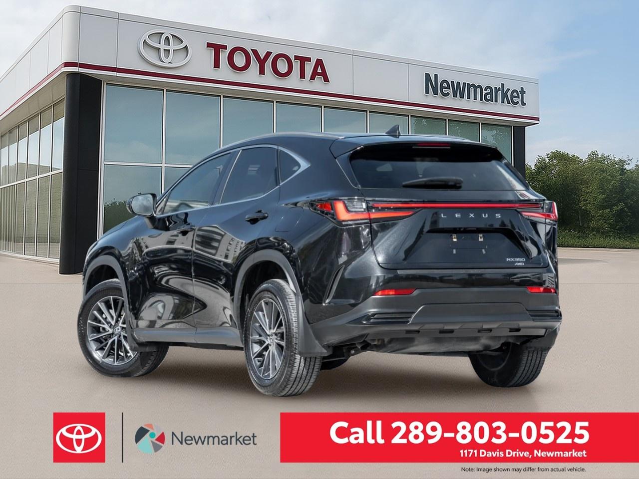 2024 Lexus NX NX 350 AWD Photo