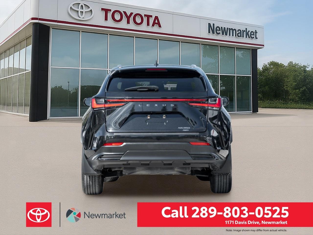 2024 Lexus NX NX 350 AWD Photo