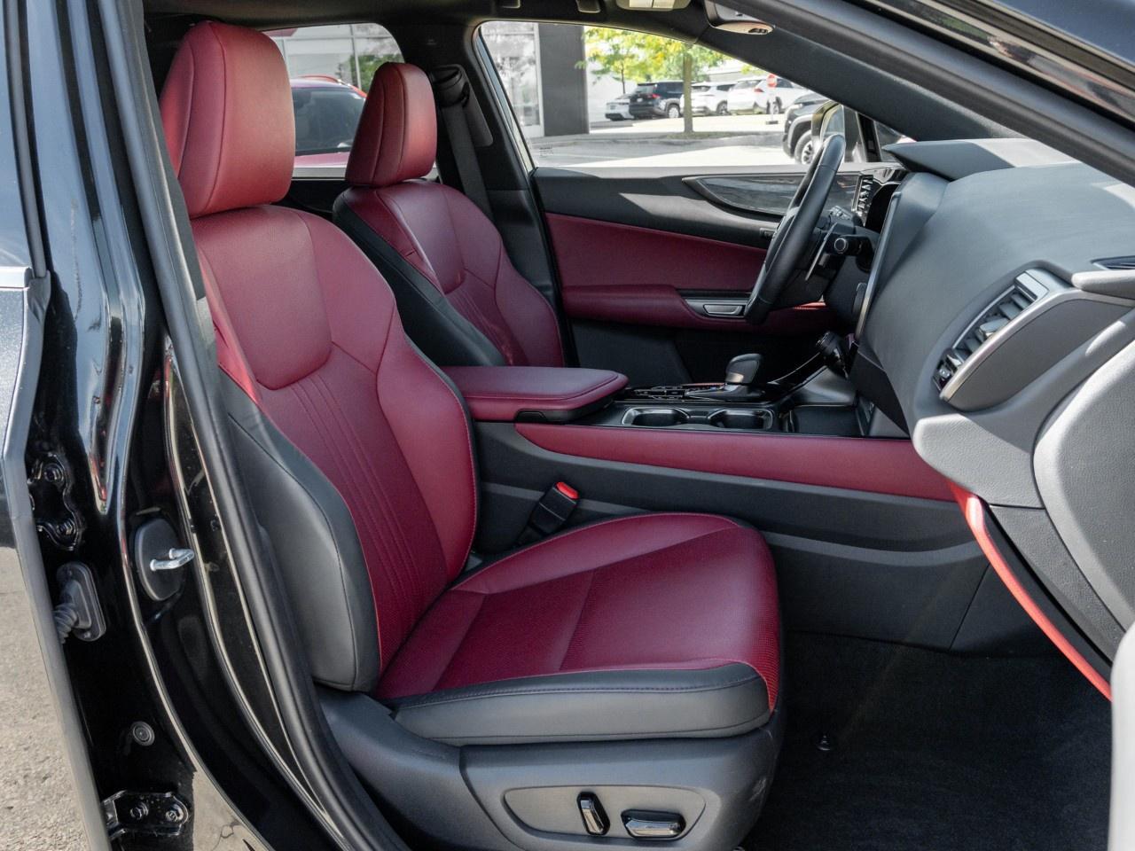 2024 Lexus NX NX 350 AWD Photo