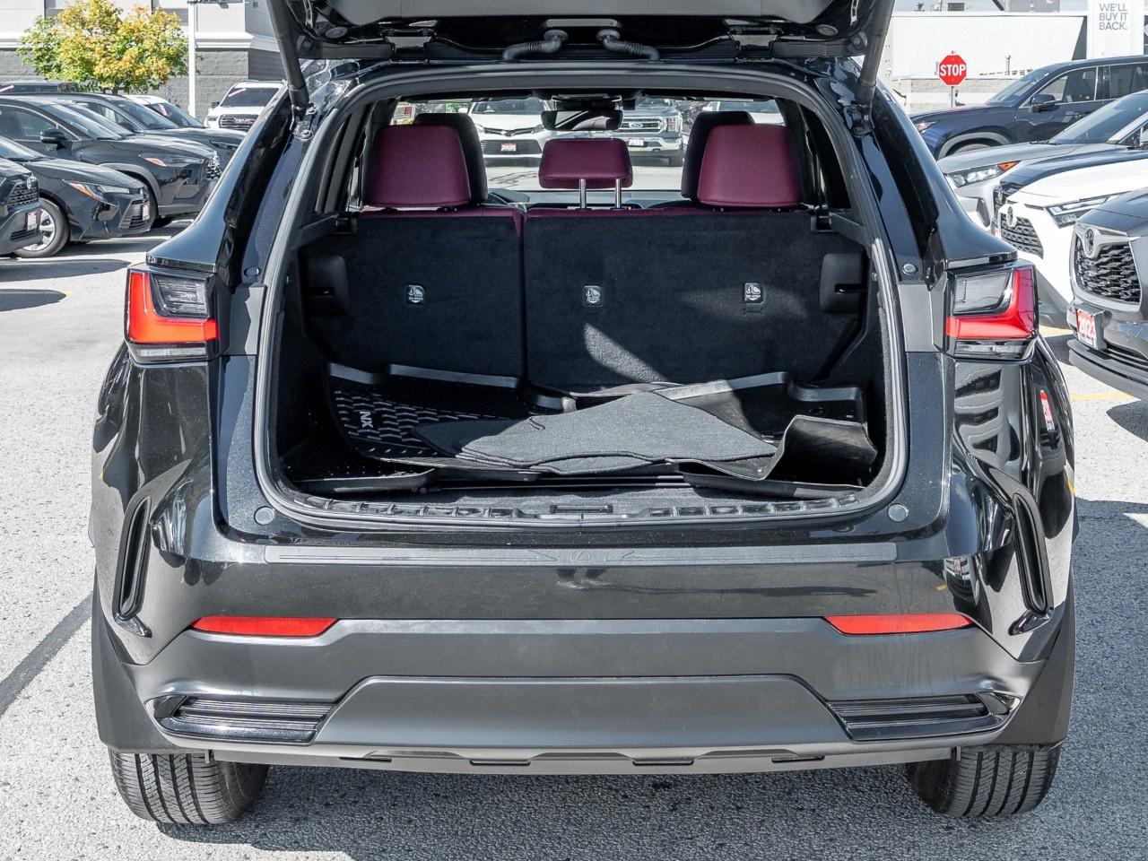 2024 Lexus NX NX 350 AWD Photo